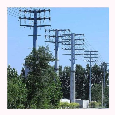 20241010110138 20241010110138